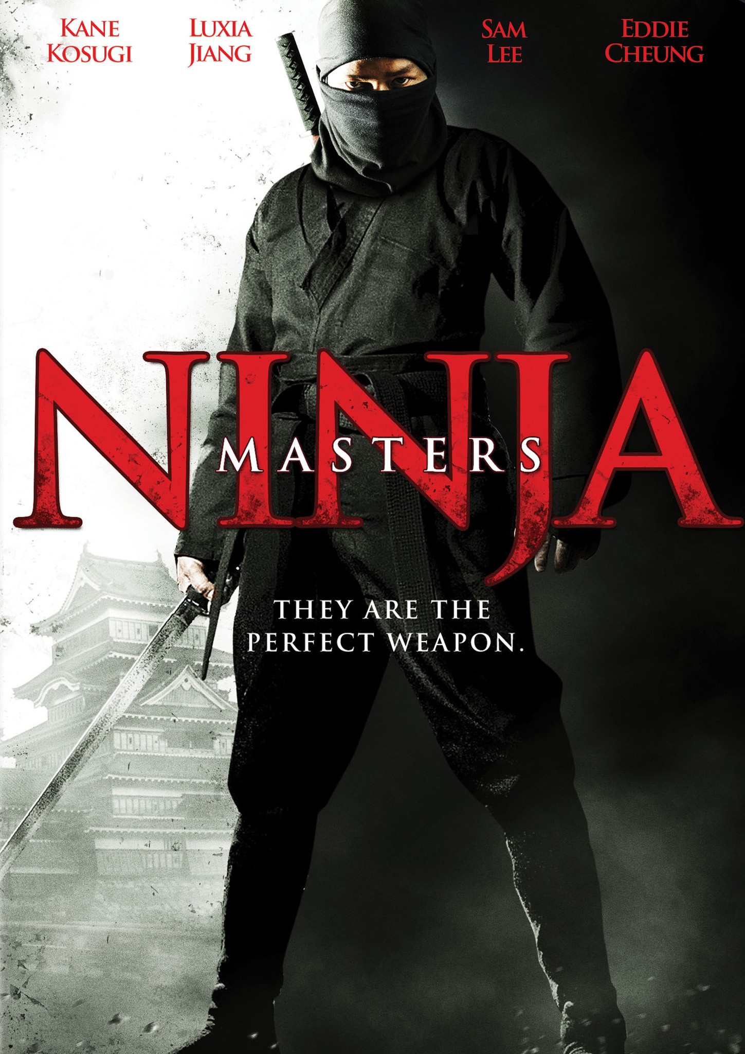 Ninja Masters 2009 Hindi ORG Dual Audio 720p HDTVRip 1.1GB | 300MB Download