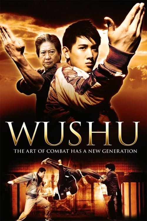 Jackie Chan Presents Wushu 2008 Hindi ORG Dual Audio 720p HDRip ESub 1.1GB Download