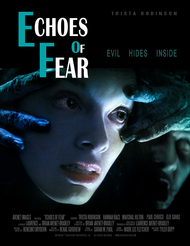 Echoes of Fear 2018 Hindi ORG Dual Audio 300MB HDRip 480p ESubs Download