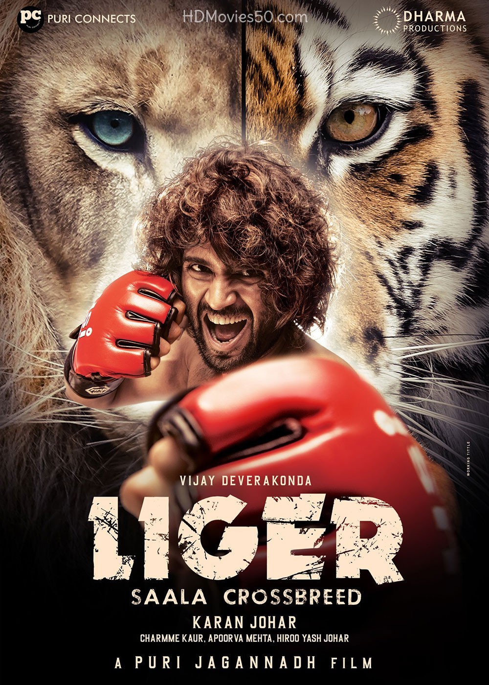 Liger (2022) 480p HDRip Hindi Dubbed (Audio Cleaned) Movie ESubs [400MB]