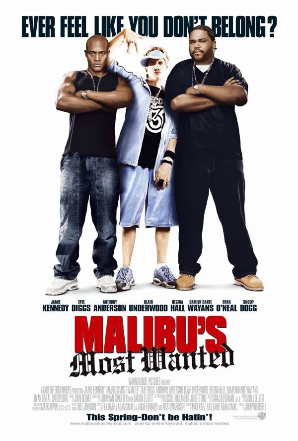 Malibu’s Most Wanted 2003 Dual Audio Hindi ORG 350MB HDRip 480p ESub Download