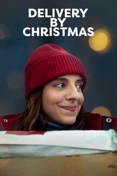 Delivery by Christmas (2022) 480p HDRip Hindi ORG Dual Audio Movie NF MSubs [350MB]