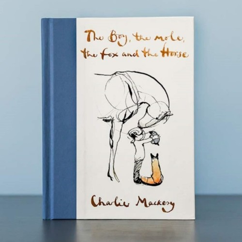 the boy the mole the fox and the horse by charlie mackesy review