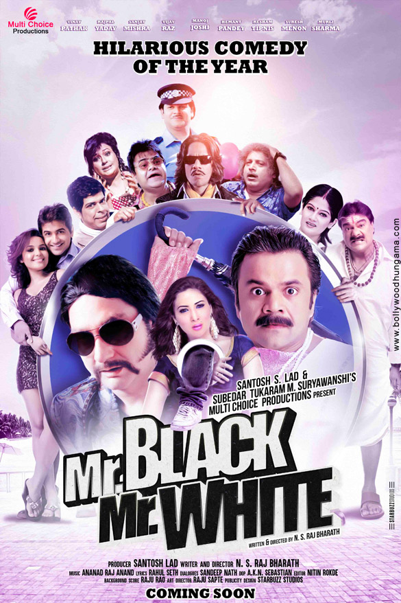 Mr. Black Mr. White 2008 Hindi Movie 480p ZEE5 HDRip 400MB Download