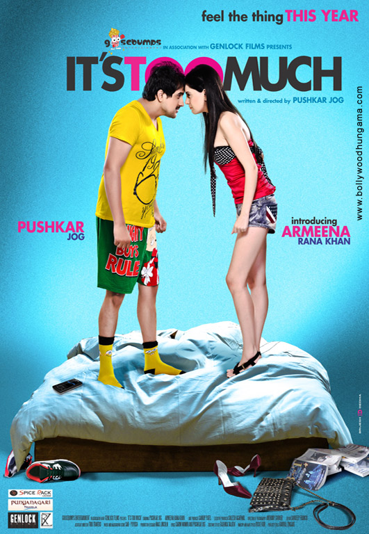 Download Huff! It’s Too Much 2013 Hindi Full Movie 720p HDRip 900MB