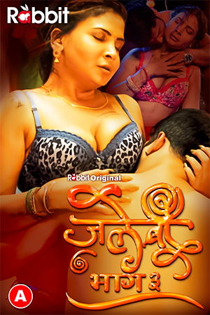 18+ Jalebi 2023 S03E03 RabbitMovies Hindi Web Series 1080p | 720p HDRip Download