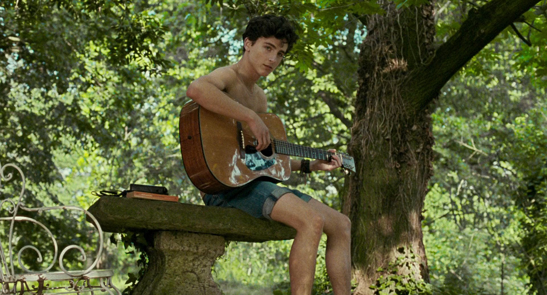 Call Me by Your Name (5)