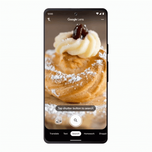 Google-Lens-Food-Search.gif