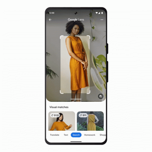 Google-Lens-Shopping.gif