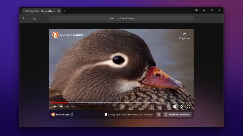 DuckDuckGo Browser Neta Windows Released