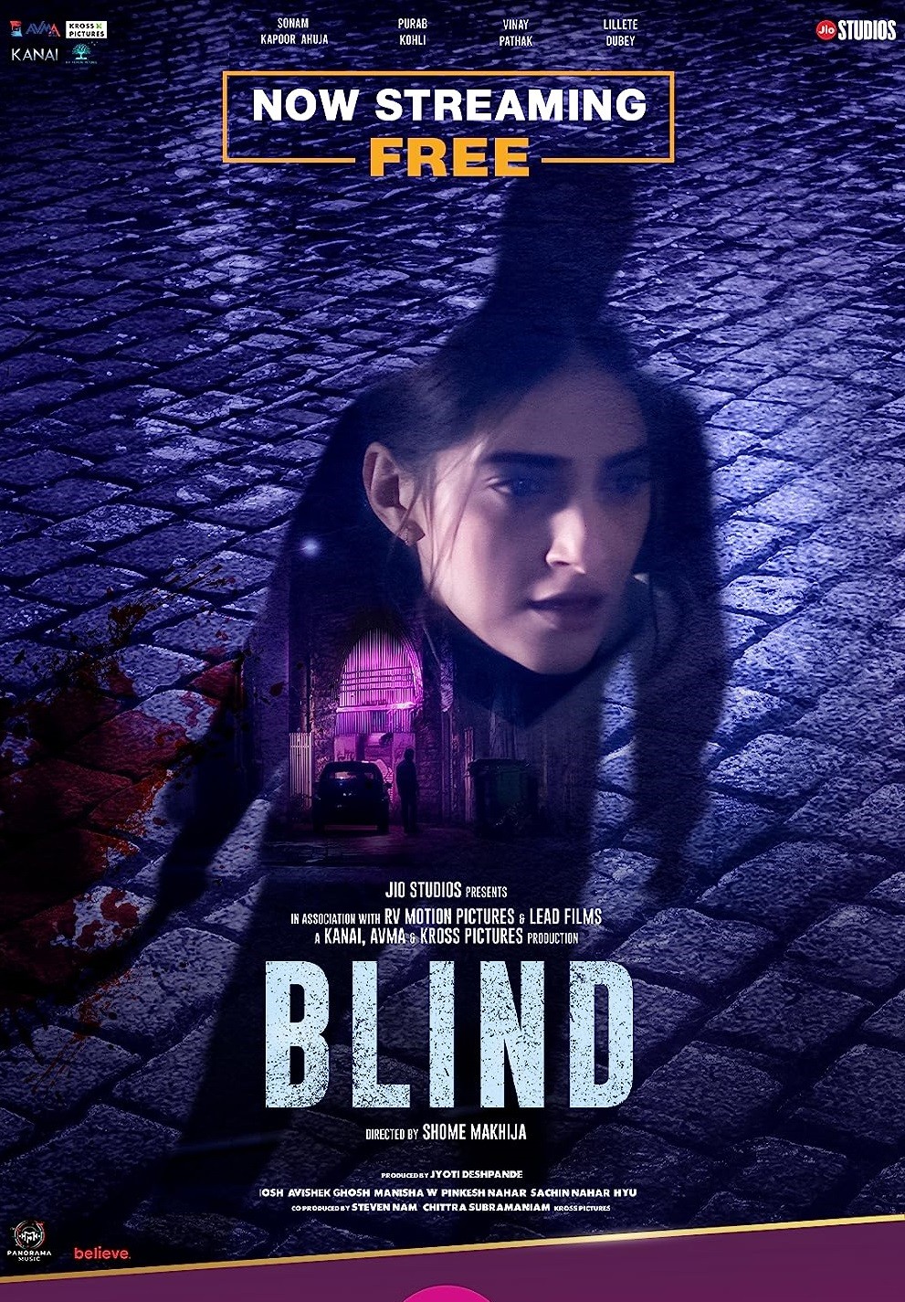 Blind 2023 Hindi Movie 1080p JC HDRip 2.3GB x264 ESub