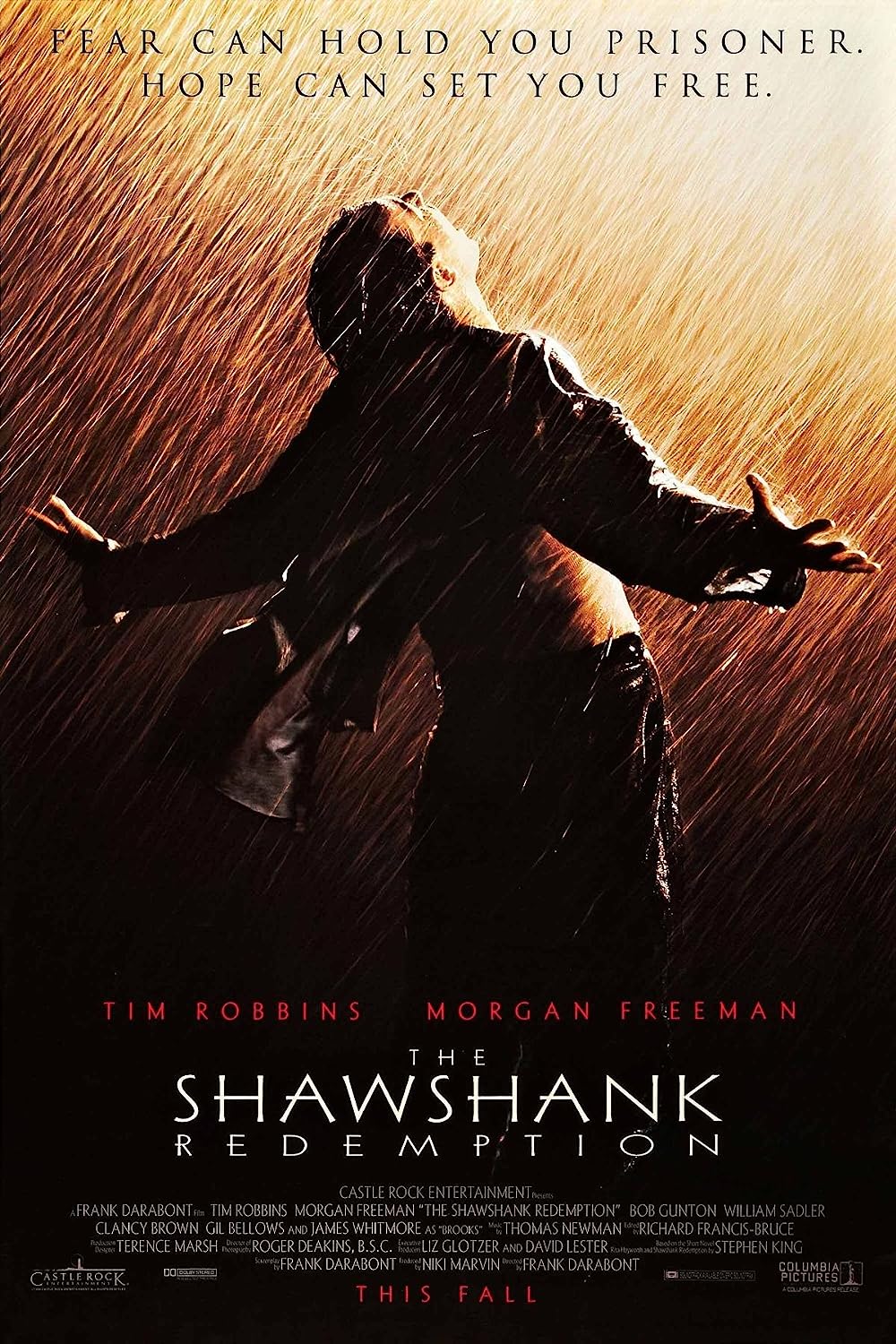 The Shawshank Redemption 1994 Hindi Dual Audio 550MB BluRay 480p ESub Download