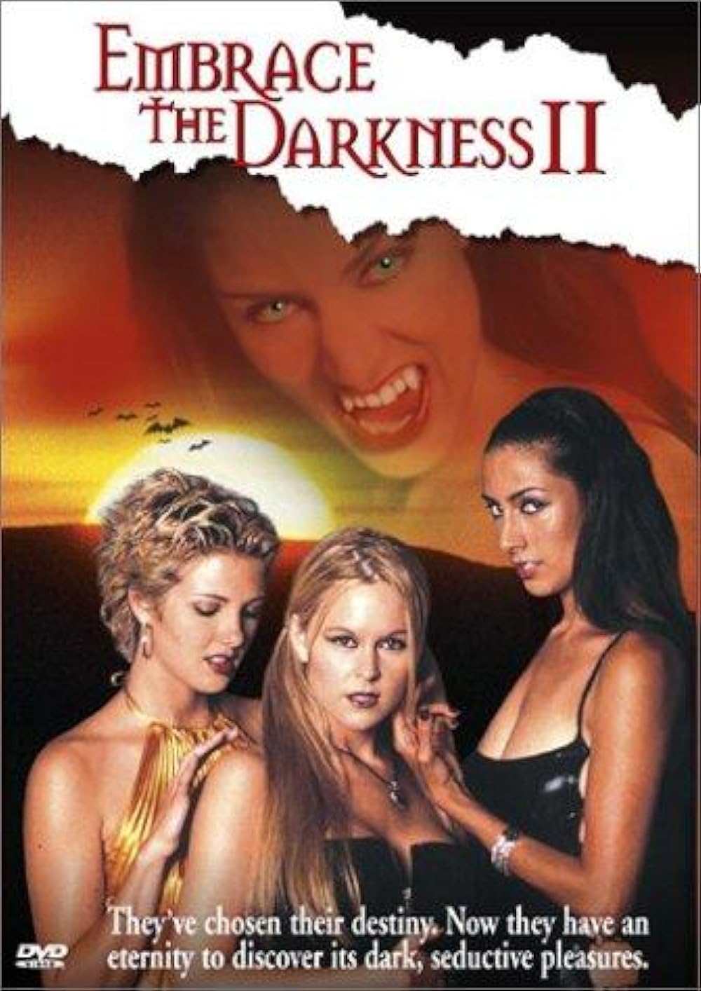 18+ Embrace the Darkness 2 2002 English 720p HDRip 850MB Download