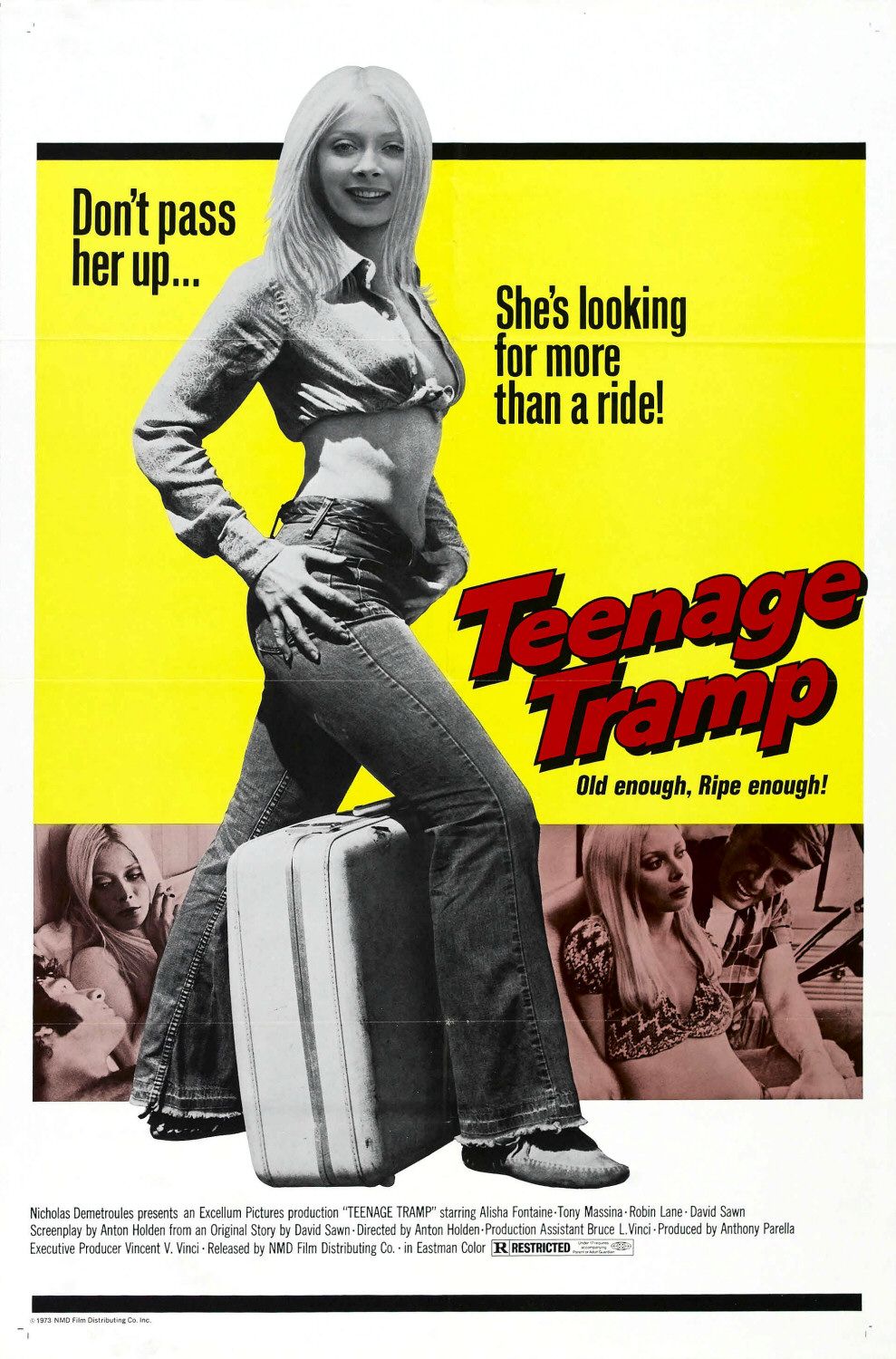 Teenage Tramp 1973 English 720p HDRip 600MB Download
