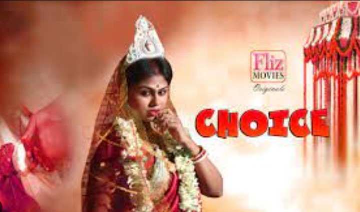 Choice 2019 S01E01 Fliz Hindi Web Series 480p HDRip 300MB Download