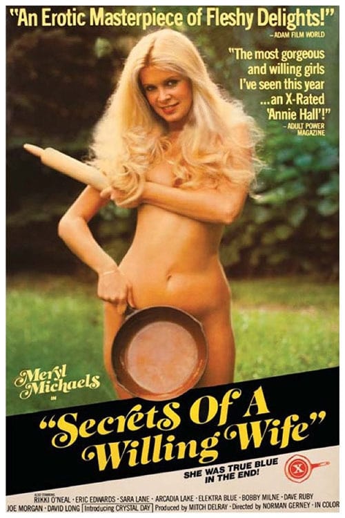 18+ Secrets of a Willing Wife 1979 English 480p HDRip 250MB Download