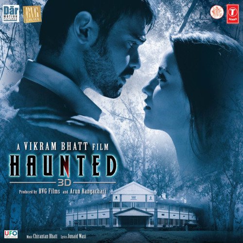 Haunted 3D (2011) HDRip Hindi Full Movie Watch Online Free