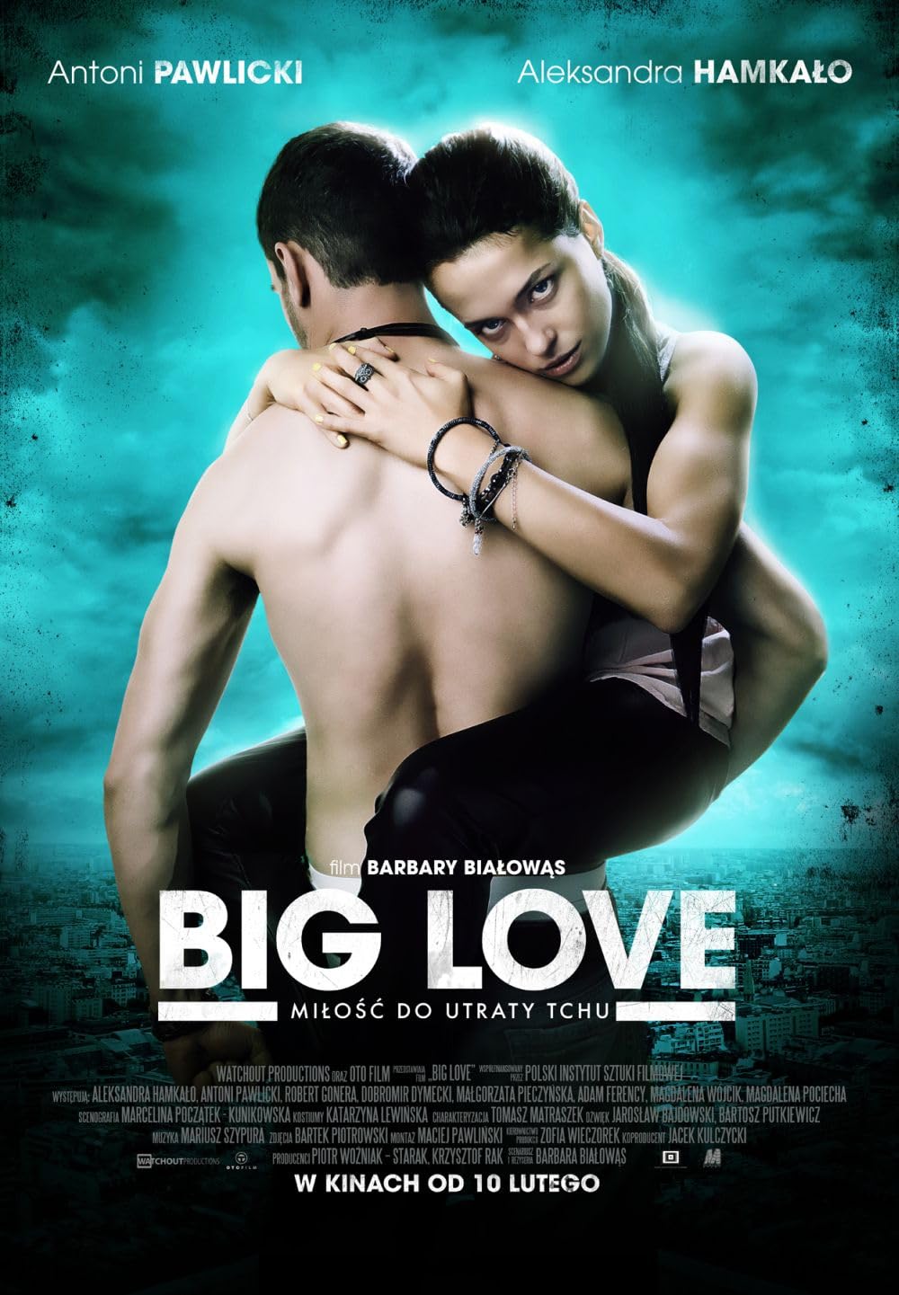 Big Love (2012) 480p HDRip Polish Adult Movie [330MB]