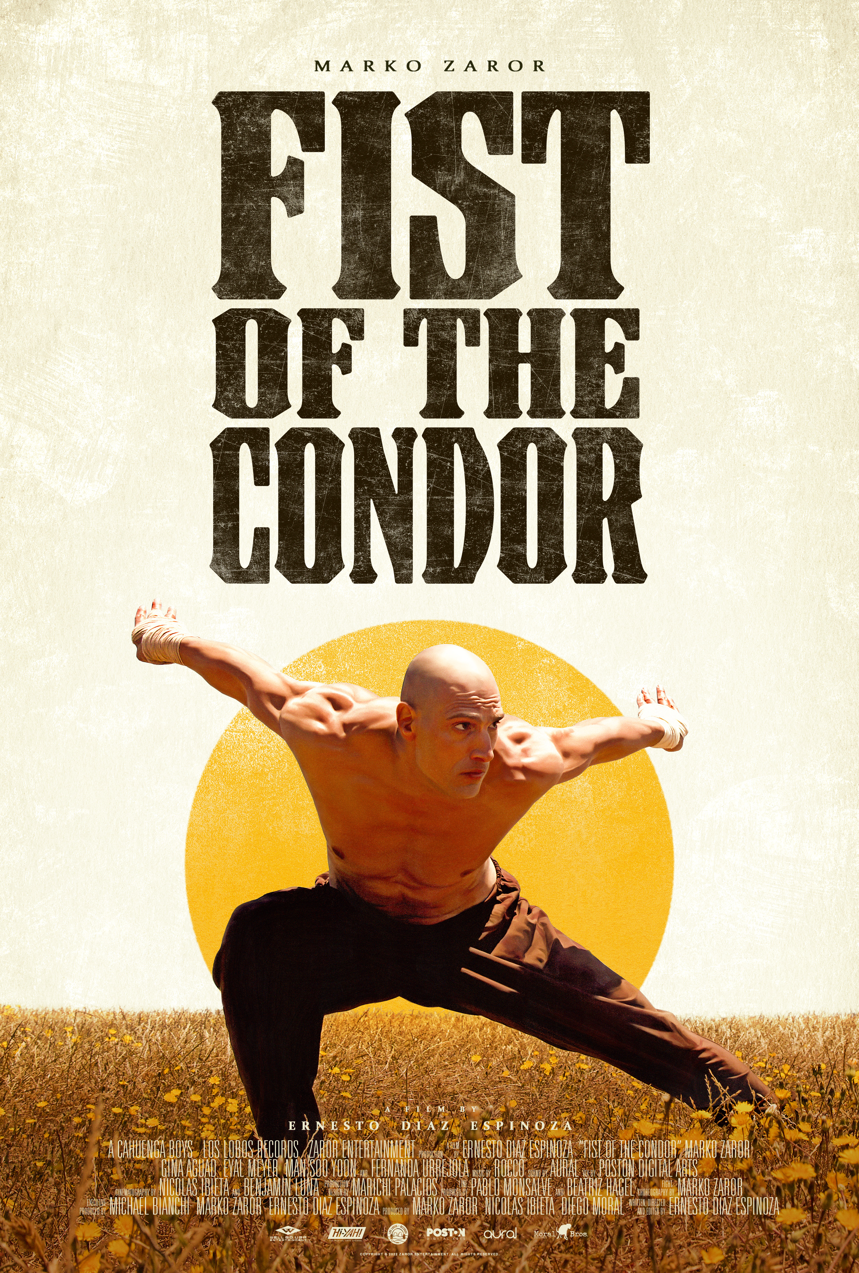 The Fist of The Condor (2023) 480p BluRay Hindi ORG Dual Audio Movie ESubs [400MB]