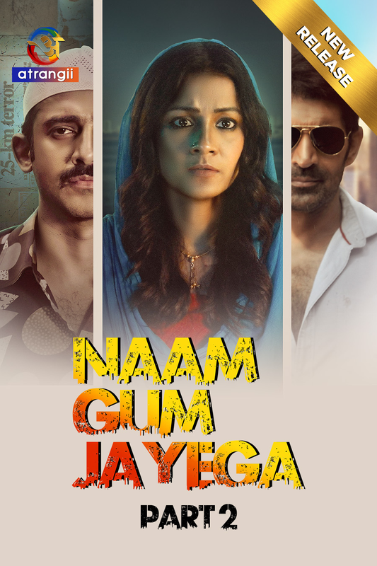 Naam Gum Jayega 2024 Atrangii S01 Part 2 Hindi Web Series 720p HDRip 850MB Download