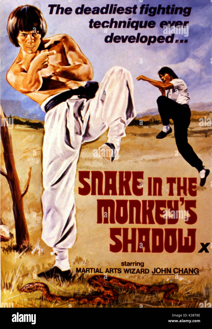 Snake in Monkey’s Shadow 1979 Hindi ORG Dual Audio 720p | 480p HDRip ESub Download