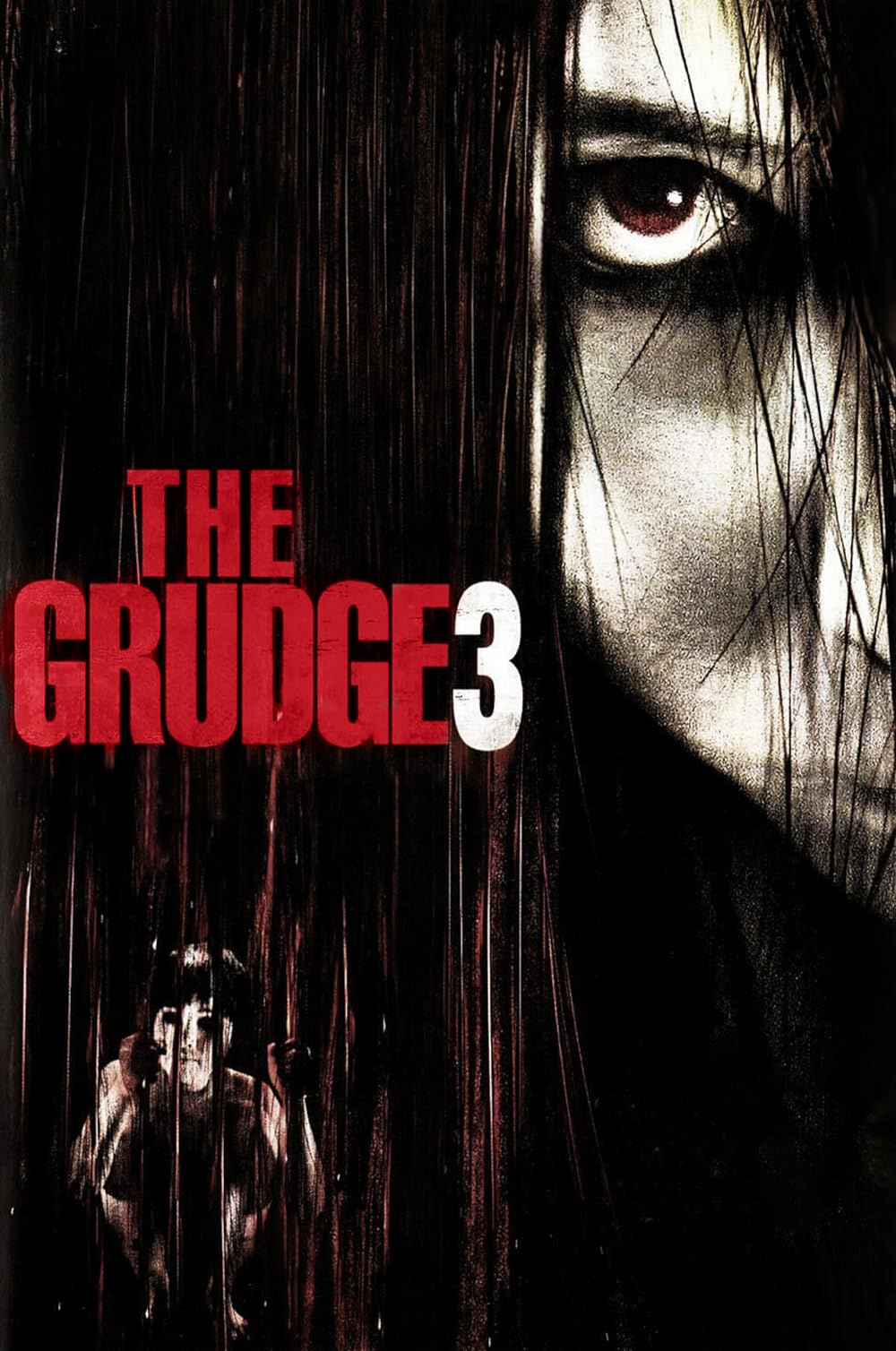 The Grudge 3 (2009) 480p BluRay Hindi ORG Dual Audio Movie ESubs [350MB]