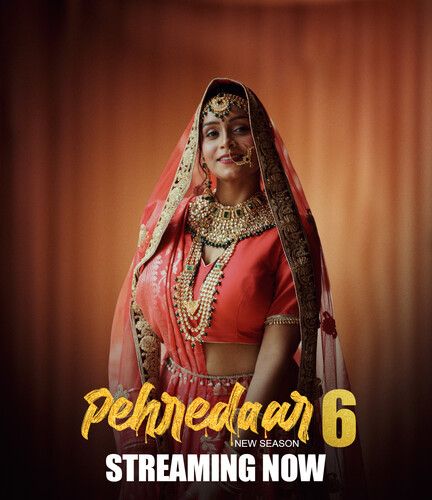 Pehredaar 6 (2024) E04T06 1080p HDRip Bigplay Hindi Web Series [1.3GB]
