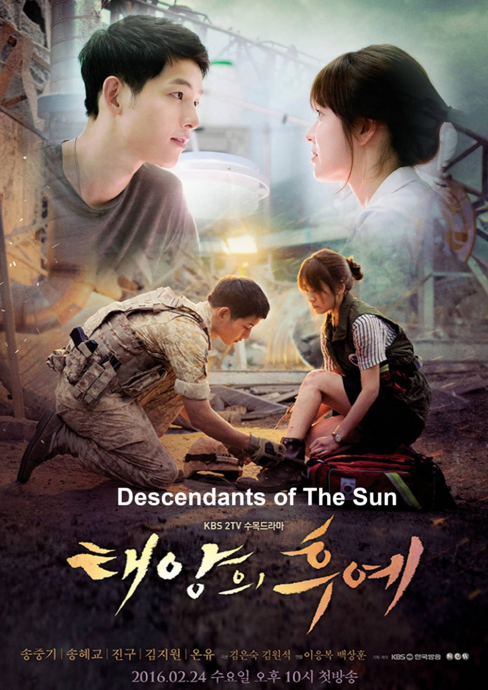 Descendants of the Sun 2016 Hindi Dubbed S01 NF Web Series 720p , 480p HDRip