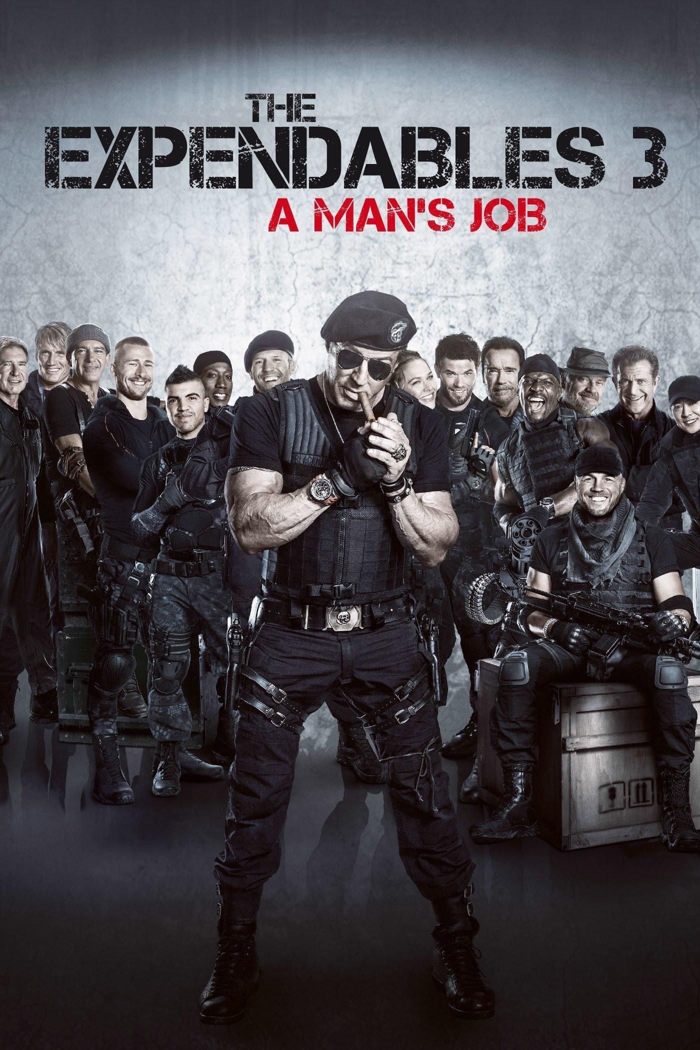 The Expendables 3 2014 Hindi Dual Audio 1080p | 720p | 480p BluRay MSub Download