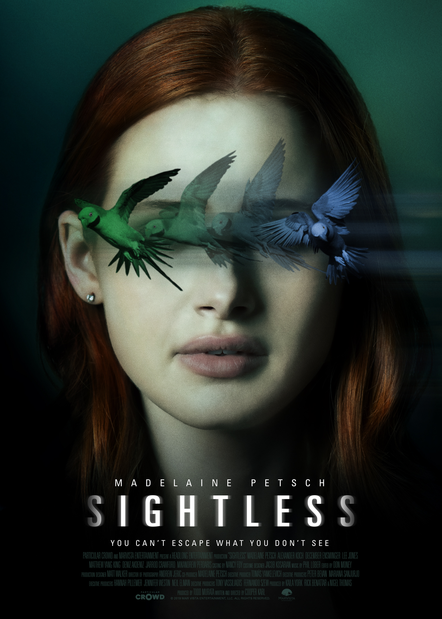 Sightless (2020) 480p BluRay Hindi Dual Audio Movie ESubs [300MB]