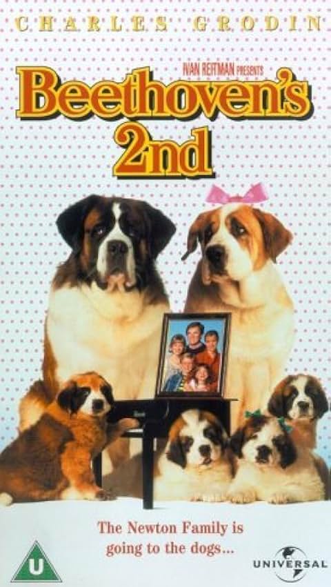 Beethoven’s 2nd (1993) 480p BluRay Hindi Dual Audio Movie ESubs [400MB]