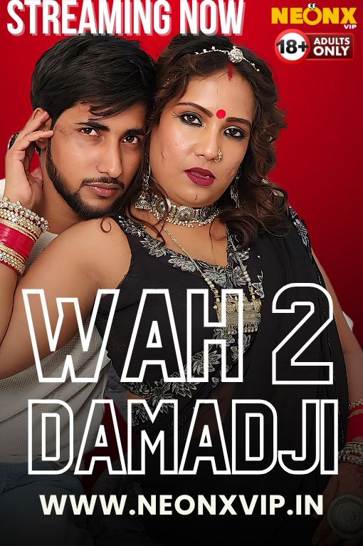 Wah Damad Ji 2 (2024) 720p HDRip NeonX Hindi Short Film [300MB]