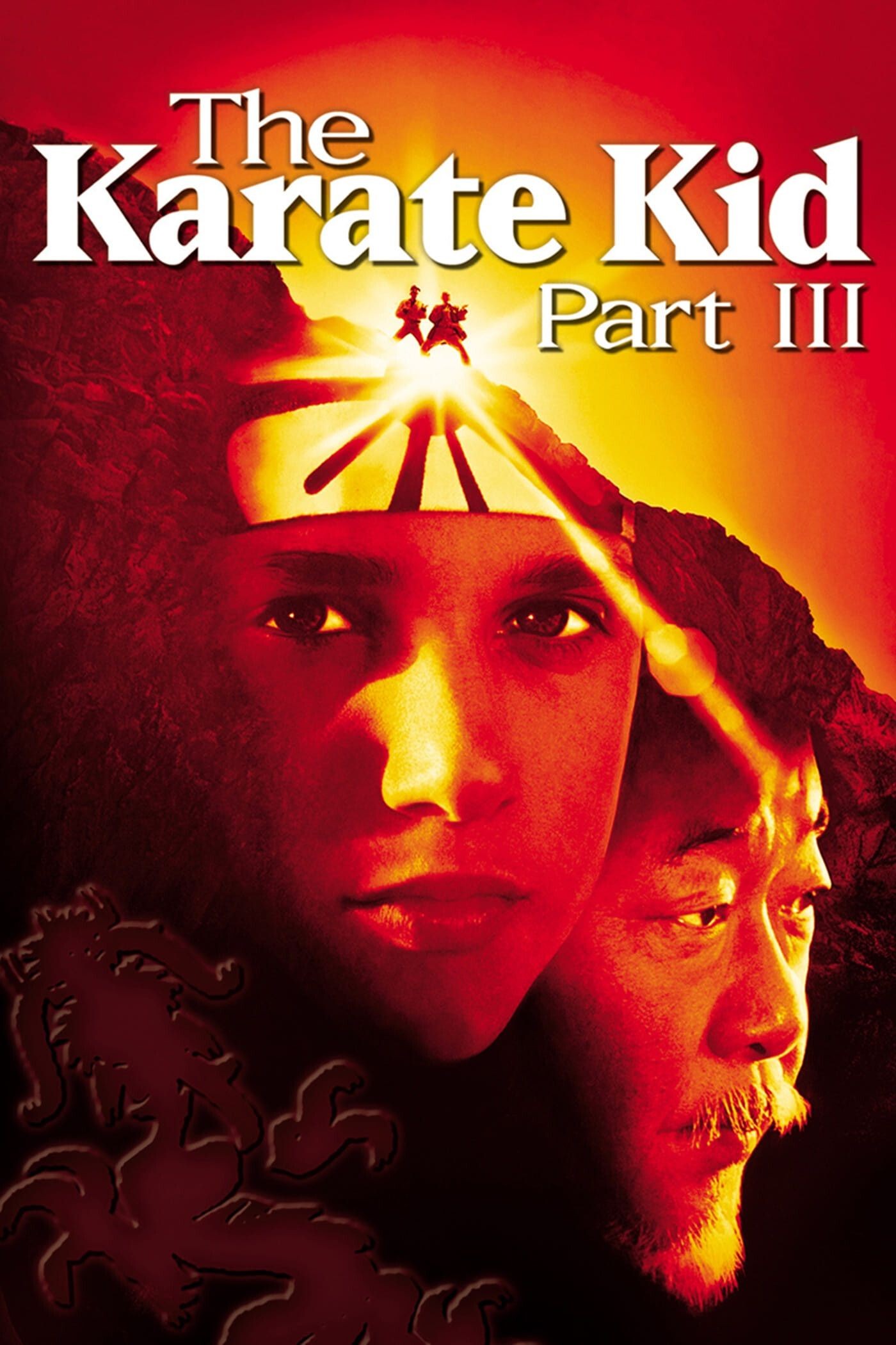 The Karate Kid Part III 1989 Hindi Dual Audio 1080p | 720p | 480p BluRay ESub