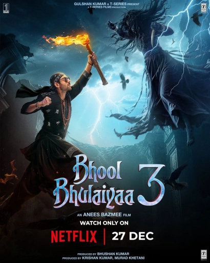 Bhool Bhulaiyaa 3 (2024) 480p HDRip Full Hindi Movie NF ESubs [400MB]