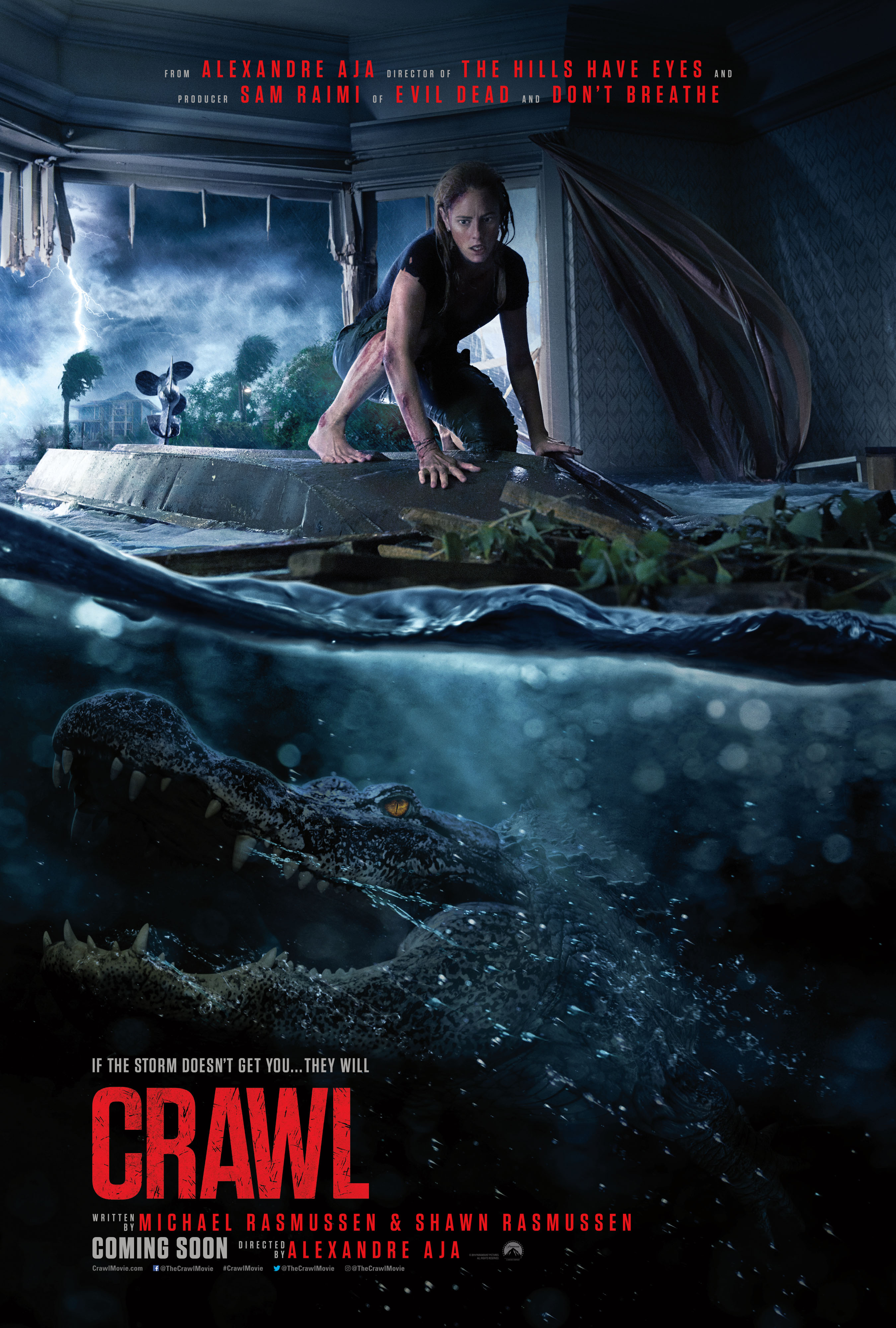 Crawl 2019 Hindi Dual Audio 1080p | 720p | 480p BluRay ESub Download