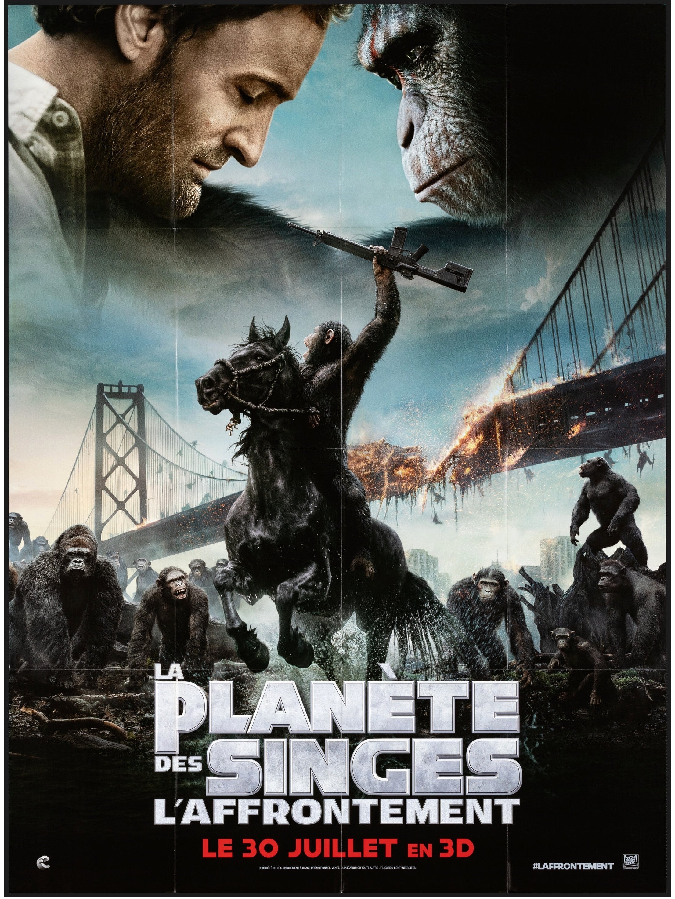 Dawn of the Planet of the Apes (2014) 480p BluRay Hindi Dual Audio Movie ESubs [600MB]