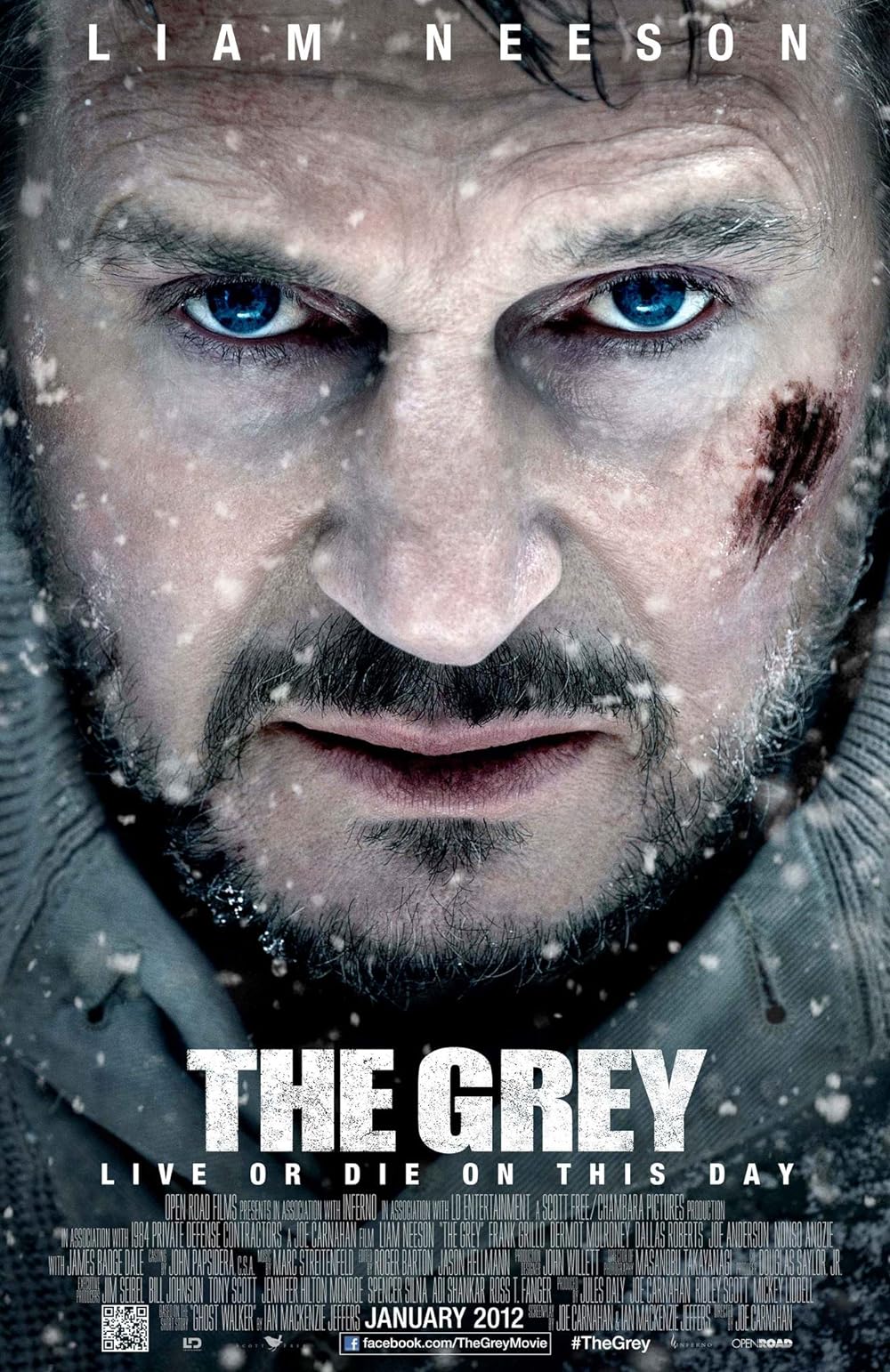 The Grey 2011 Hindi Dual Audio 1080p | 720p | 480p BluRay ESub Download